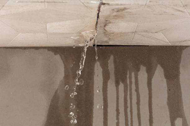 Professional Water Damage Inspection technician working in Ferndale, MI